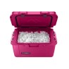 Glacière Patrol 55L/14.5Gal de Dometic / Orchidée